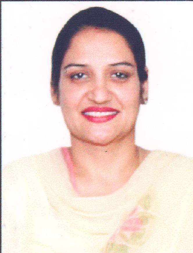 Image Here